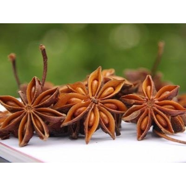 Star Anise-Whole Chinese Star Anise Pods, Dried Anise Star Spice