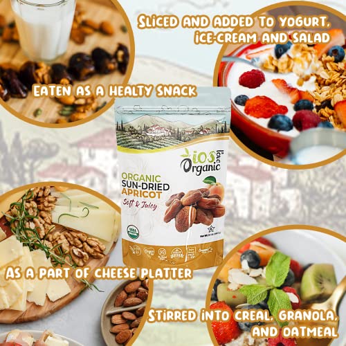 ORGANIC Sun-Dried Apricot - IOS Love Organic- | Purely Apricot -...