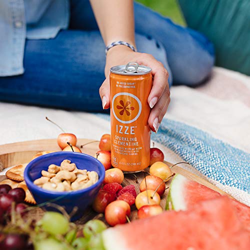 Izze Sparkling Juice 4 Flavor Variety Pack 8.4 Oz., 24 Pk.