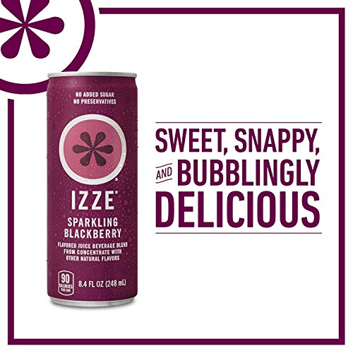 Izze Sparkling Juice 4 Flavor Variety Pack 8.4 Oz., 24 Pk.