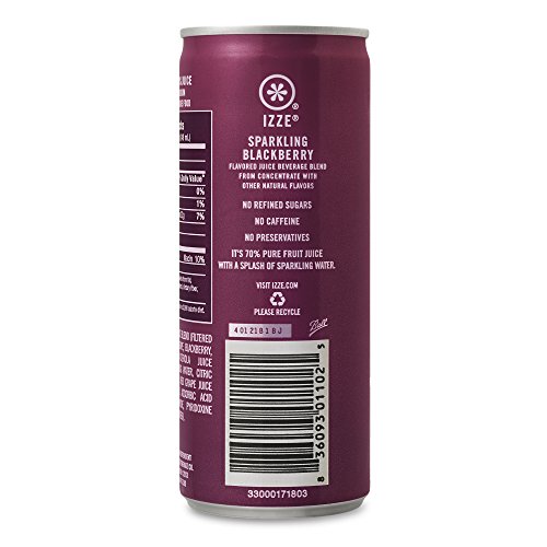 Izze Sparkling Juice, Blackberry, 8.4 Fl Oz 24 Count