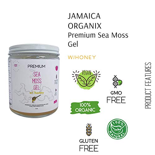 Wildcrafted Sea Moss Gel With Raw Honey, Organic Irish Seamoss W
