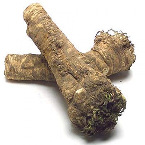 Horseradish Roots Natural, 1/2 Pound, No International Orders ...
