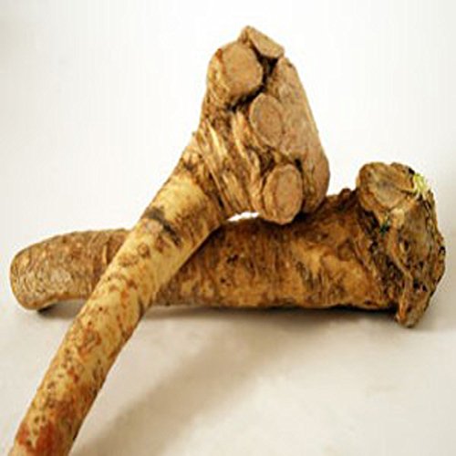 Horseradish Roots Natural, 1/2 Pound, No International Orders