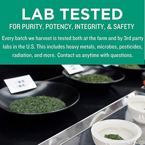 Jade Leaf Matcha Green Tea Powder - Organic, Authentic Japanese