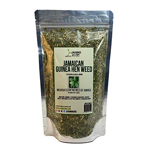 Jamaican Guinea Hen Weed, Wildcrafted Anamu Herb, Leaves and stem