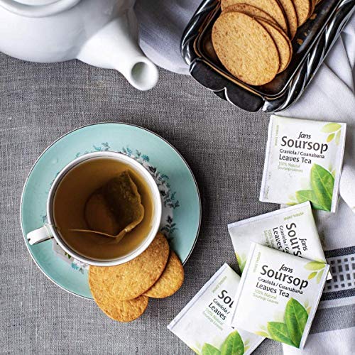 Jans 100% All Natural Soursop Graviola/Guanabana Leaves Tea Box