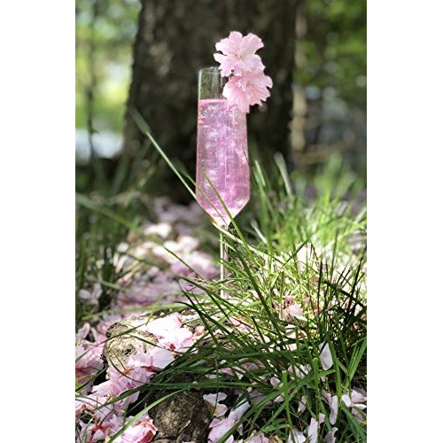 Jardin - Rose Infused Mixer To Enhance Champagne, Spirits And No