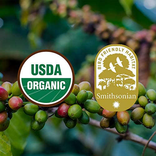 Java Planet, Organic Coffee Beans, Guatemalan Single Origin, Gou