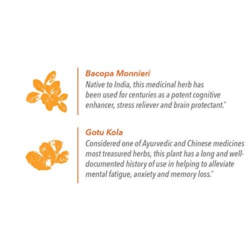 Energy + Focus Coffee - Premium, Gourmet,100% South American Ble