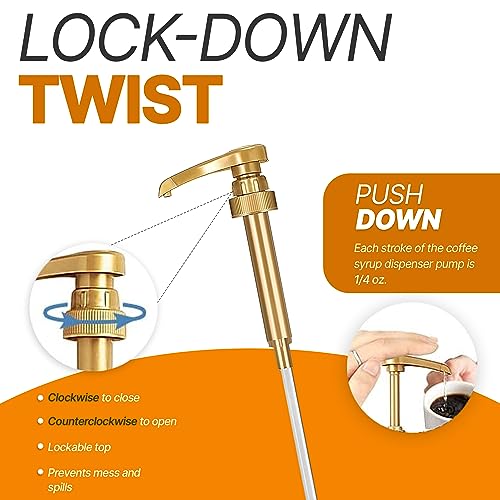 Torani Coffee Syrup Variety Pack - Vanilla and Caramel Syrup for...