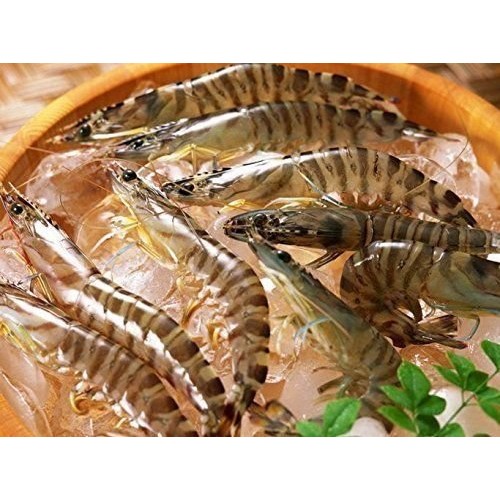 2 Pound 908 Grams Dried Seafood Large-Sized Shrimp Meat From C