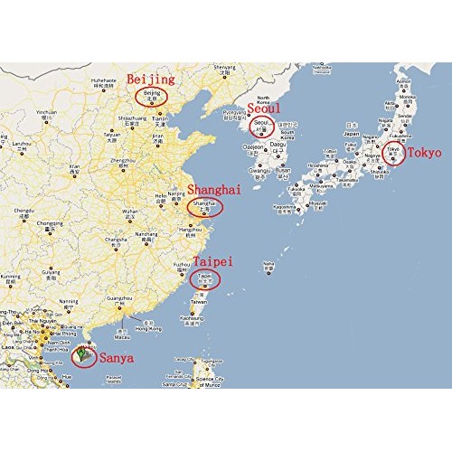 2 Pound 908 Grams Dried Seafood Large-Sized Shrimp Meat From C