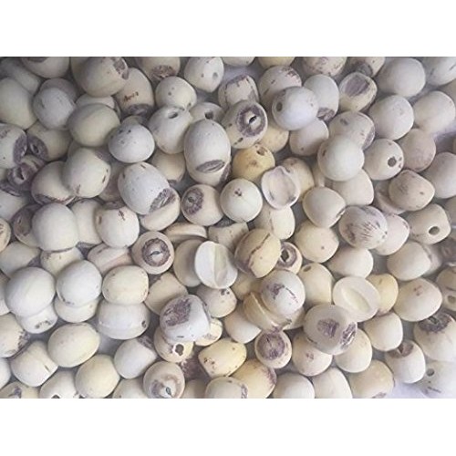 4 Pound 1816 Grams High Grade Lotus Seeds From Yunnan