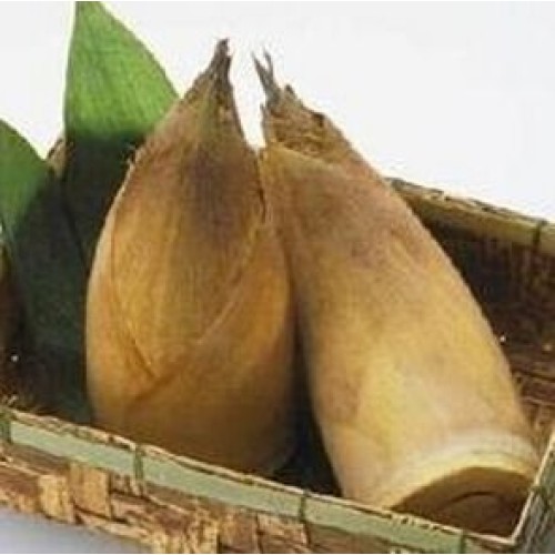 2 Pound 908 Grams Dried Tender Bamboo Shoots From Yunnan China