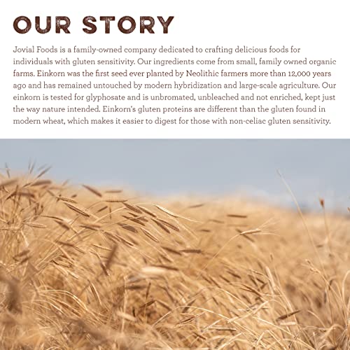 Jovial Organic Einkorn Unbleached All Purpose Flour - Bread Baki...