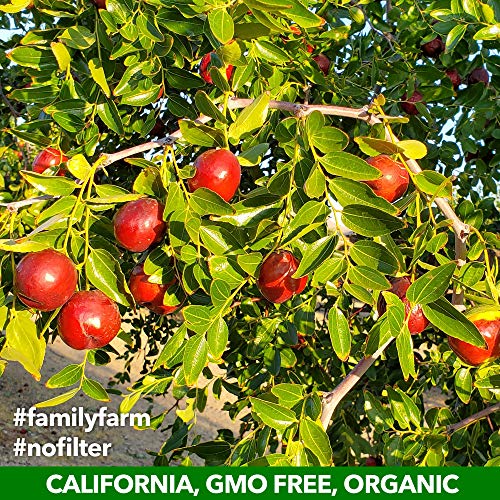California Grown Superfood | Jujume Organic Whole Jujubes | Drie
