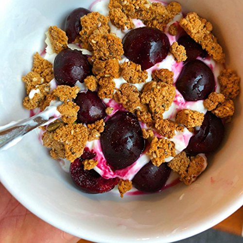 Julian Bakery Progranola Cereal | Vanilla Cinnamon | 12G Protein