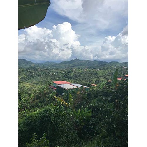 Julian Coffee - Specialty Puerto Rican Coffee, Shade Grown On A