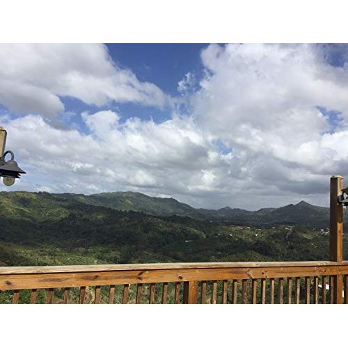 Julian Coffee - Specialty Puerto Rican Coffee, Shade Grown On A