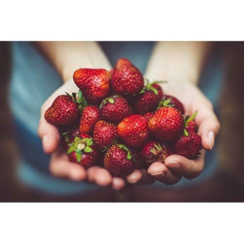 Jungle Powders Strawberry Powder - 3.5Oz 100% Natural Non Gmo Ve