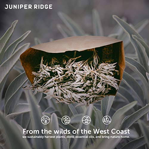Juniper Ridge California White Sage - 1 Lb Bag