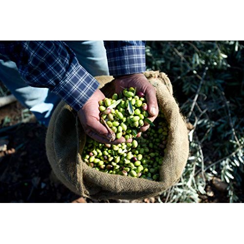 Kasandrinos 500 Ml Bottle Organic Extra Virgin Greek Olive Oil -