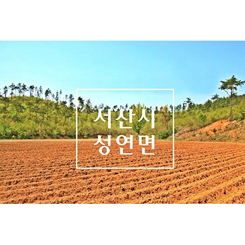 Non-Pesticide Dried Jerusalem Artichoke, 무농약 말린 돼지감자 30