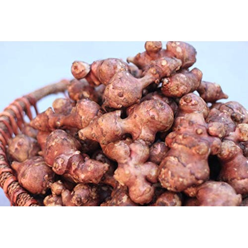 Non-Pesticide Dried Jerusalem Artichoke, 무농약 말린 돼지감자 30