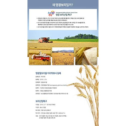 Organic Malted Barley Flour, 유기농 엿기름, 500G 1.1Lb From Ko