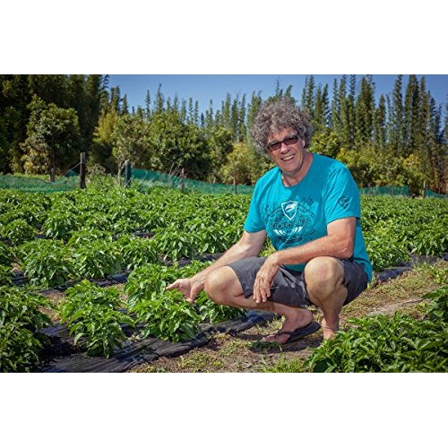 Habanero, Kiwi Fruit And Manuka Honey, New Zealands Favorite Wa