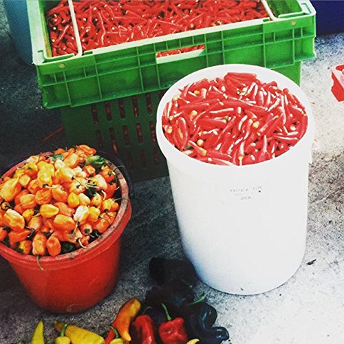 Unique Hot Sauce Pack: Habanero, Kiwi Fruit And Manuka Honey Wah