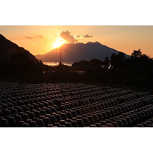 Kakuida Premium Brown Rice Black Vinegar Aged 10 Years 33.8 Fl,