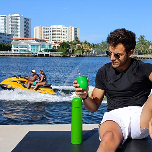 Kalmateh Yerba Mate Starter Set– Modern 8 Oz Double Walled Stain