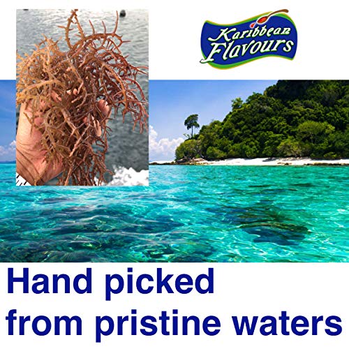 Premium Irish Moss Gel | Sea Moss Gel 27.00 Oz | Wildcrafted |