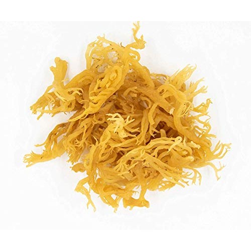 Premium Irish Moss Superfood 2-Pack 2 X 3 Oz - Wildcrafted - N