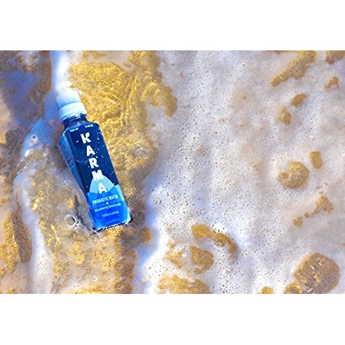 Karma Wellness Flavored Probiotic Water, Blueberry Lemonade, 18
