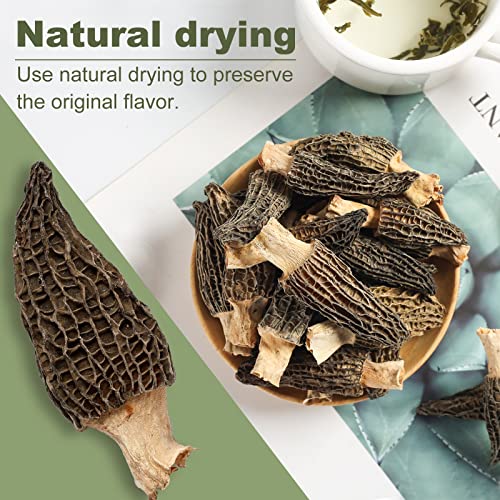 Kasvan Wild Dried Morel Mushrooms - Morchella Conica 1 Ounce Wit
