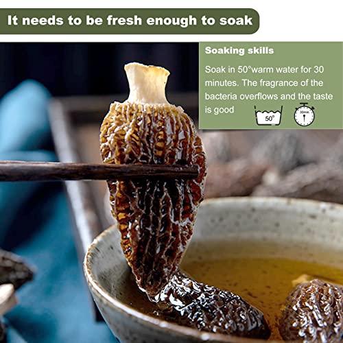 Kasvan Wild Dried Morel Mushrooms - Morchella Conica 1 Ounce Wit