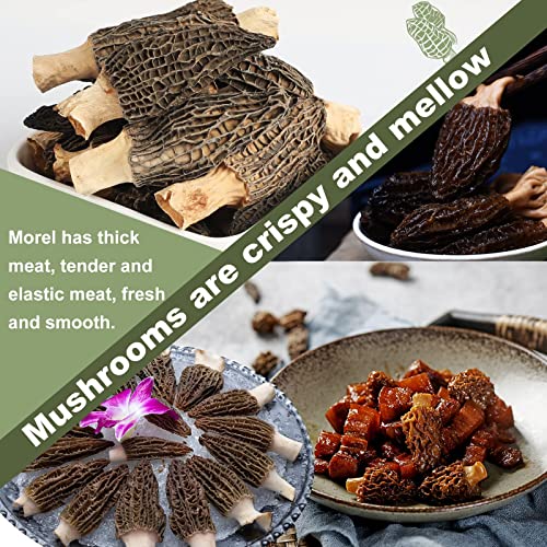 Kasvan Wild Dried Morel Mushrooms - Morchella Conica 1 Ounce Wit