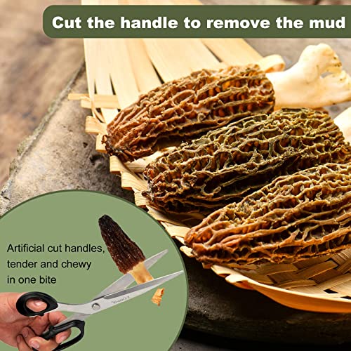 Kasvan Wild Dried Morel Mushrooms - Morchella Conica 1 Ounce Wit