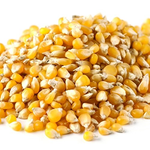 Bulk Non-Gmo Ladyfinger Popcorn, 3.5 Lb. Bag