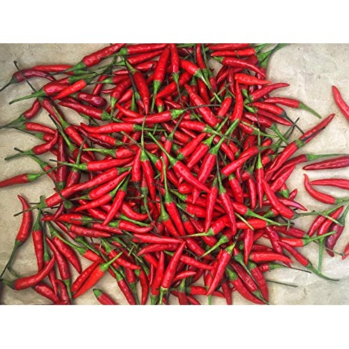 Kejora Fresh Red Thai Chili Peppers -1 Lb 16 Oz