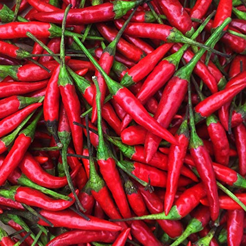 Kejora Fresh Red Thai Chili Peppers -1 Lb 16 Oz