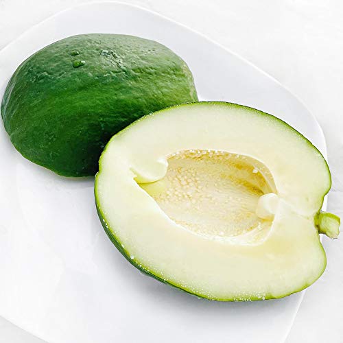 Kejora Fresh Green Papayas 2 Pcs About 2Lb Per Pc