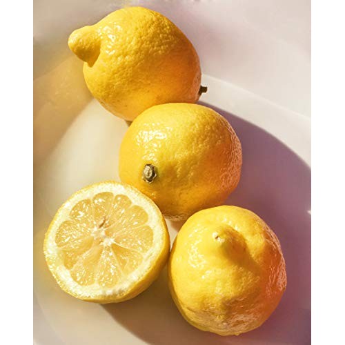 Kejora Fresh Lemons - 5 Lbs Box About 16 Pcs - From California