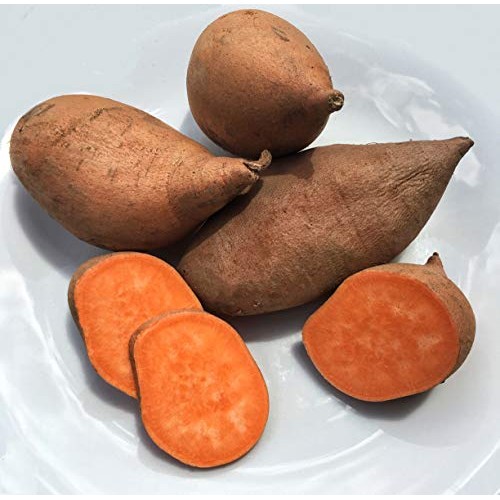 Kejora Fresh Sweet Potatoes - 10 Lbs