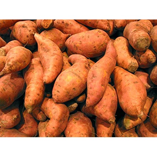 Kejora Fresh Sweet Potatoes - 10 Lbs
