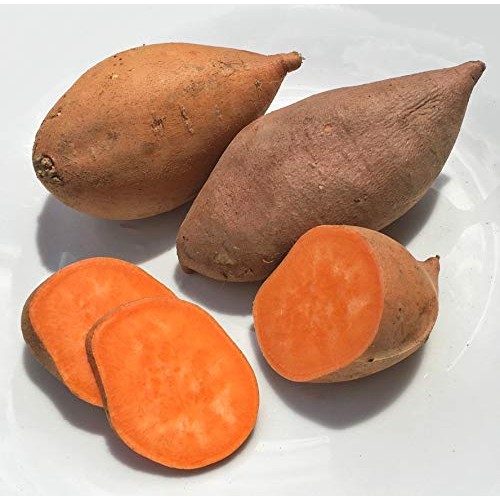 Kejora Fresh Sweet Potatoes - 10 Lbs