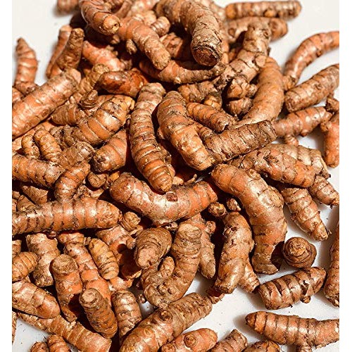 Kejora Fresh Whole Raw Yellow Turmeric, Naturally Grown from Fij...